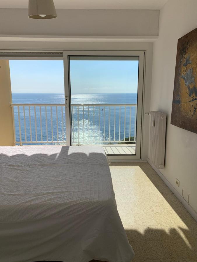 Wonderfull View Cap D Ail Monaco * Saint-Antoine (Alpes-Maritimes)